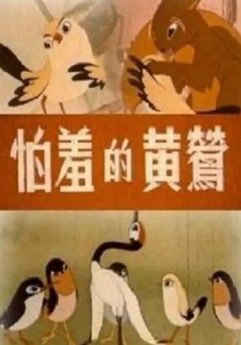 视频午夜