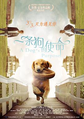 国产精品特黄一级国产大片