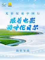 国内自拍99
