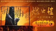 黑丝尤物