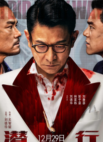 永久免费在线视频