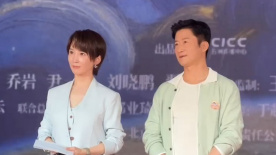 欧美二区视频